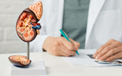 Can a Car Accident Cause Kidney Damage?